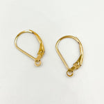 Load image into Gallery viewer, Gold Filled Plain Leverback with Ring Ear Wire