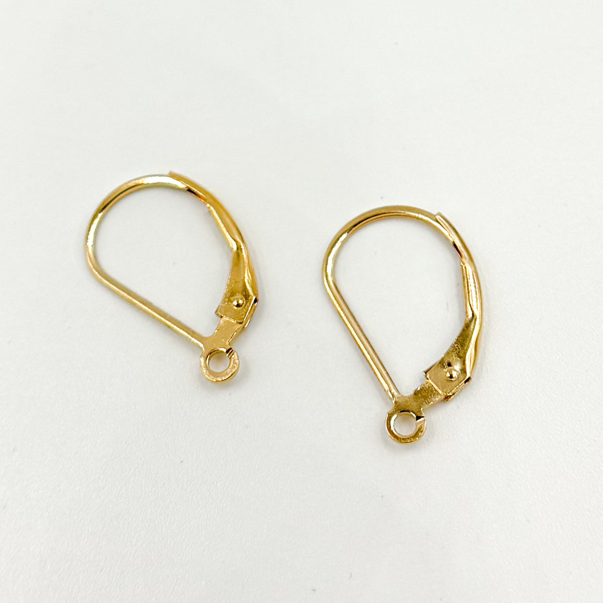 Gold Filled Plain Leverback with Ring Ear Wire