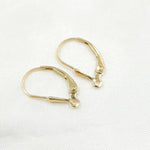 Load image into Gallery viewer, Gold Filled Drop Leverback with Ring