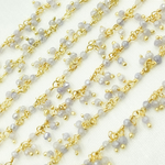 Load image into Gallery viewer, Coated Blue Moonstone Cluster Dangle Gold Plated Wire Chain.