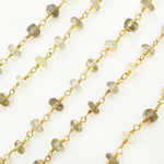 Load image into Gallery viewer, Bio Lemon Gold Plated Wire Chain