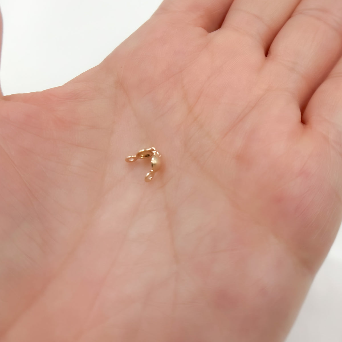Gold Filled Clamshell Bead Tip with Two Rings