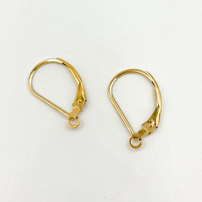 Gold Filled Plain Leverback with Ring Ear Wire