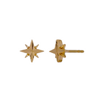 Load image into Gallery viewer, EFZ53568. 14K Solid Gold Star Stud Earrings