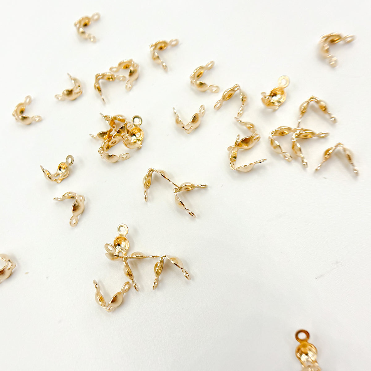 Gold Filled Clamshell Bead Tip with Two Rings