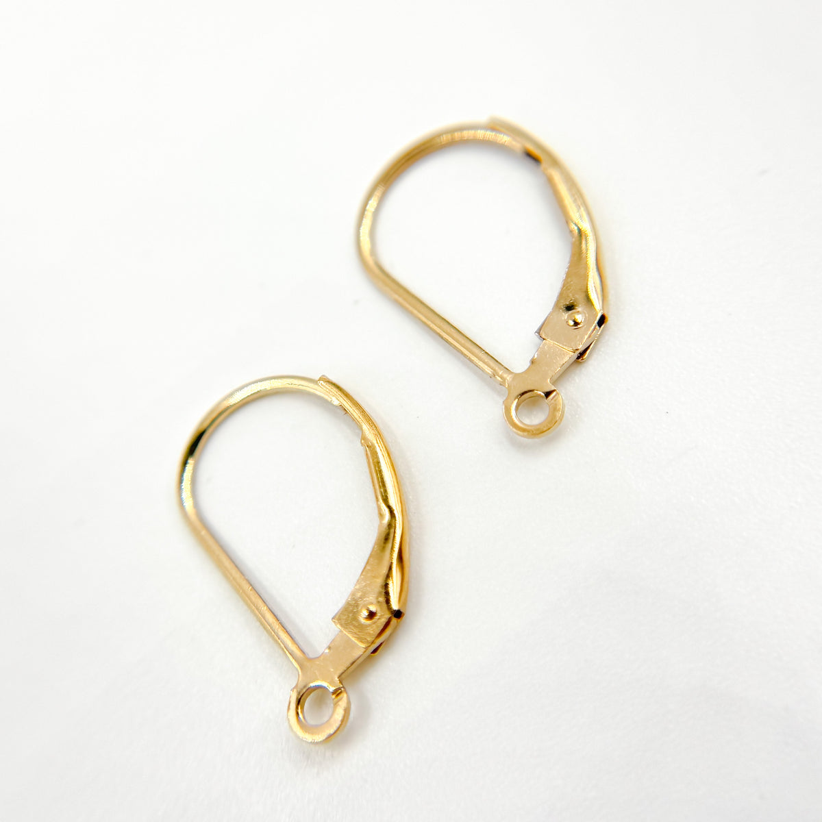Gold Filled Plain Leverback with Ring Ear Wire