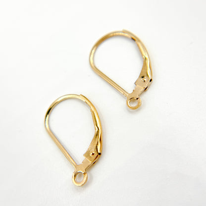 Gold Filled Plain Leverback with Ring Ear Wire