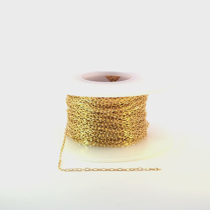 1218DFGF. 14K Gold Filled Flat Paperclip Chain