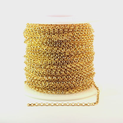 977GF. 14K Gold Filled Rolo Chain