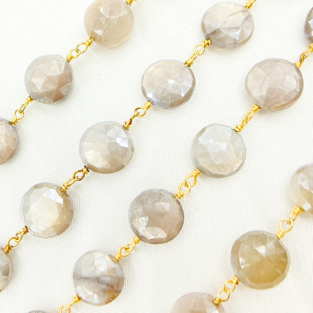 Coated Taupe Moonstone Gold Plated Wire Chain
