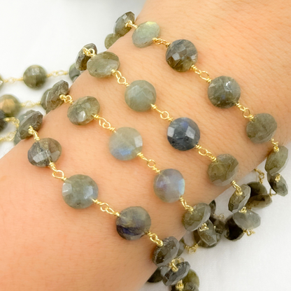 Labradorite Coin Shape Gold Plated 925 Sterling Silver Wire Chain